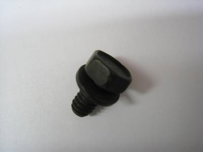 Choke Mounting Bolt