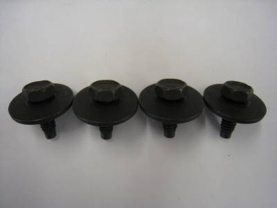 Radiator Mounting Bolt Pkg.