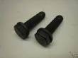 Fuel Pump Mounting Bolt Pkg.